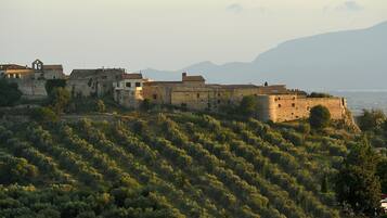 A historic stone fortress with surrounding buildings, set on a hillside with dense vegetation.