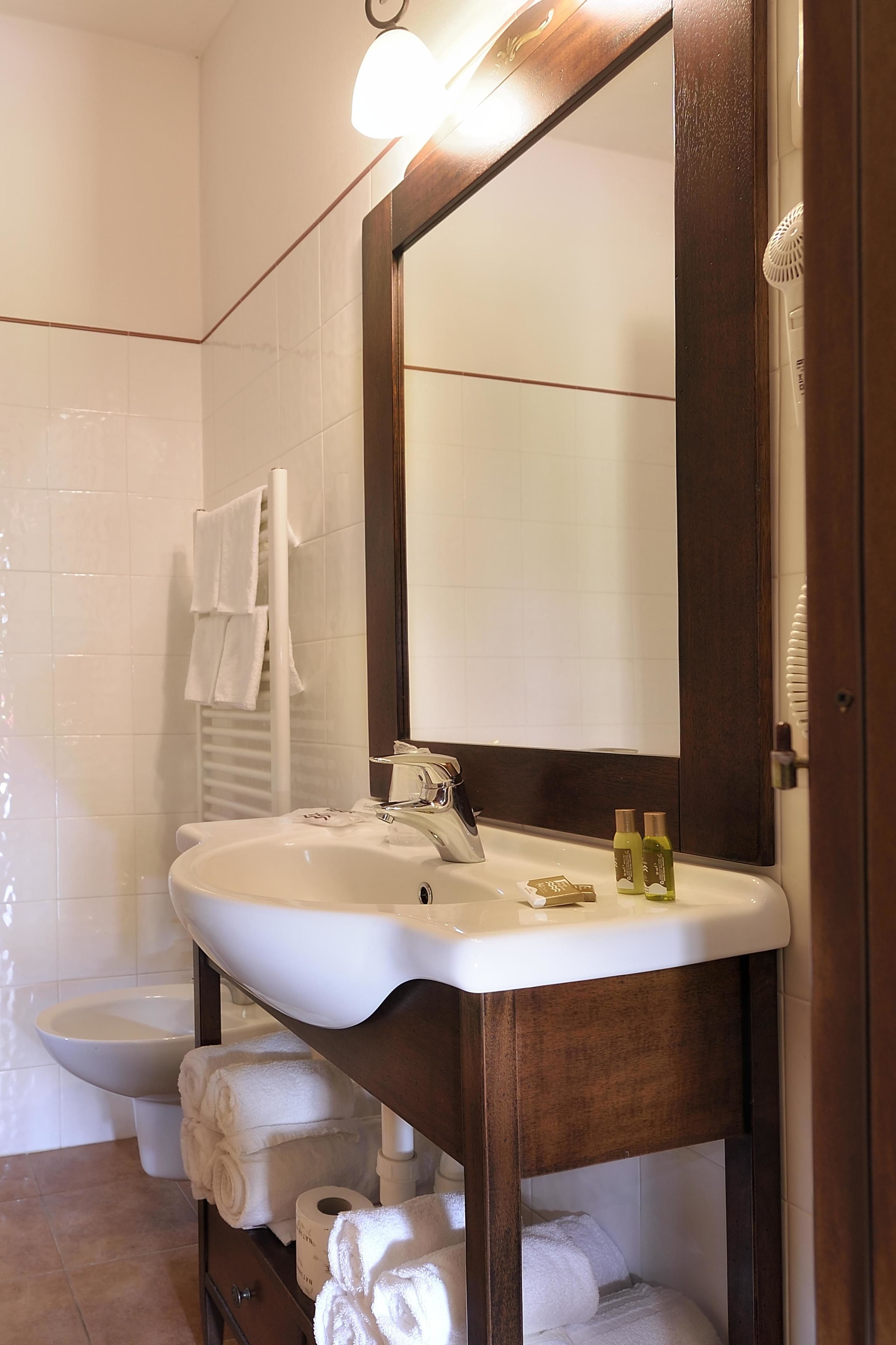 combined shower/bathtub, free toiletries, hair dryer, bidet