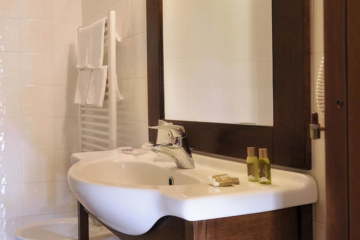 combined shower/bathtub, free toiletries, hair dryer, bidet