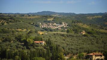 A hillside village with traditional stone buildings, terraced fields, and dense greenery.