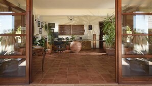 Une pièce spacieuse avec une grande fenêtre, un bureau en bois et plusieurs plantes en pot.