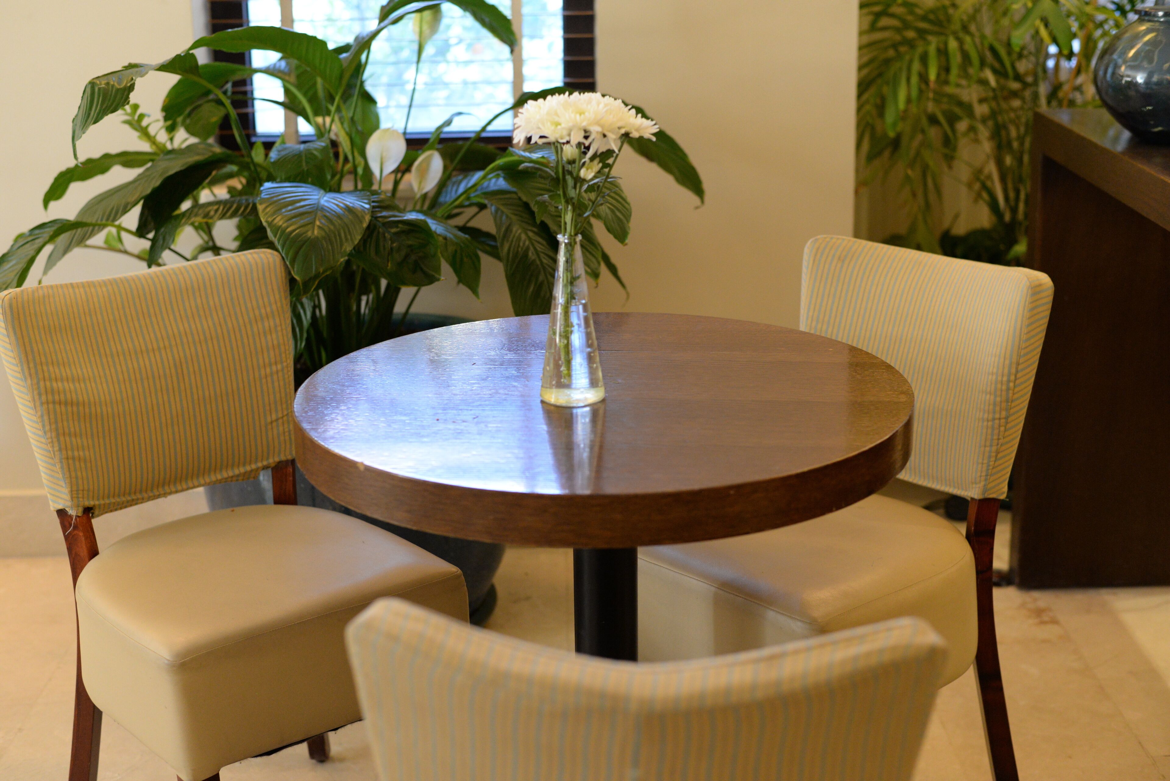 Foto - Prima Royale Hotel