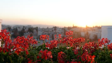 Jardim no terraço com flores vermelhas e paisagem urbana ao fundo.