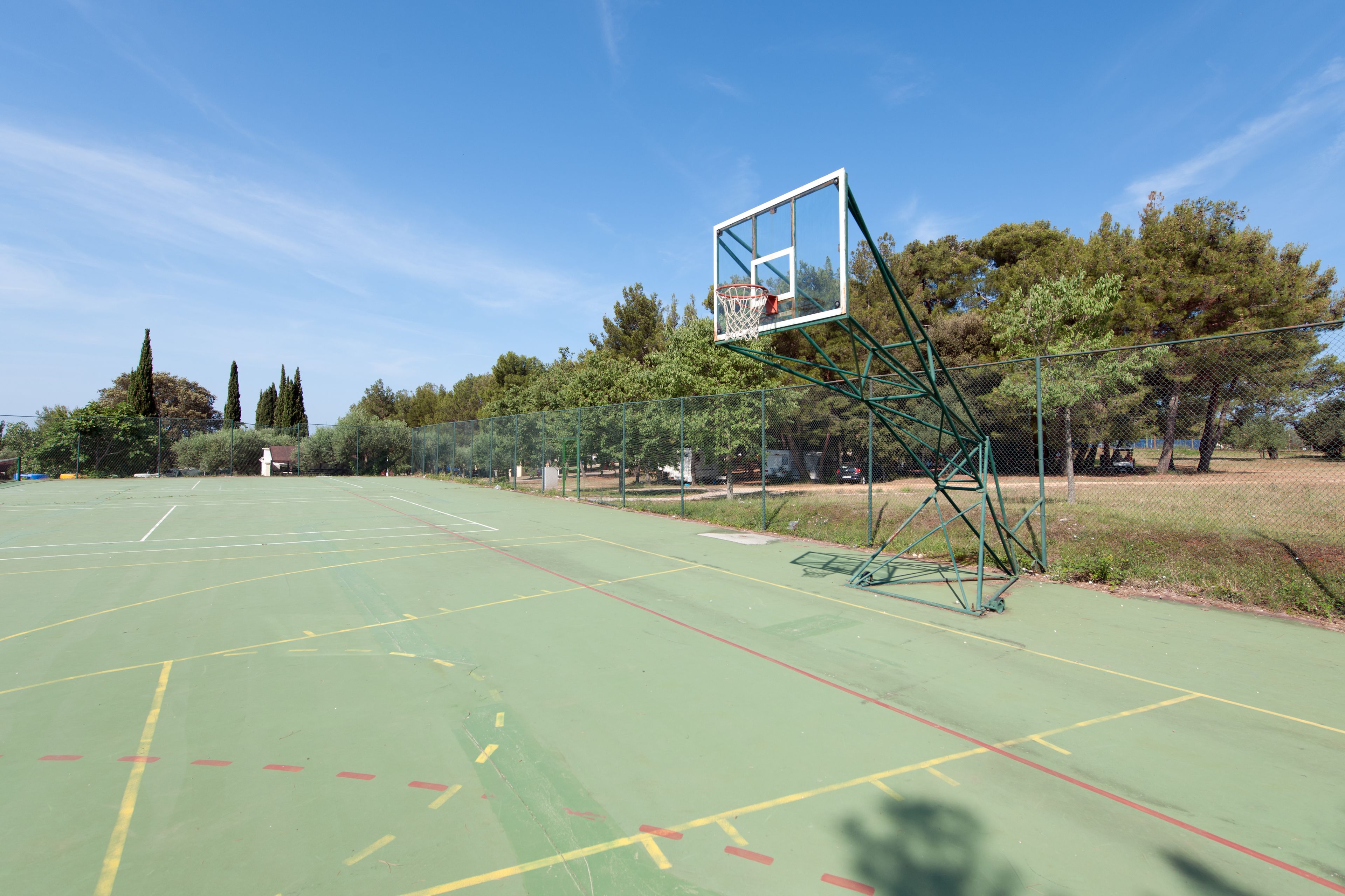 An outdoor basketball court with a green surface, white boundary lines, and a metal basketball hoop.