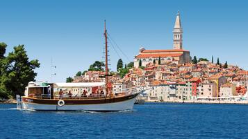 A boat with passengers on a clear day, a coastal town with historic buildings and a prominent church tower in the background.