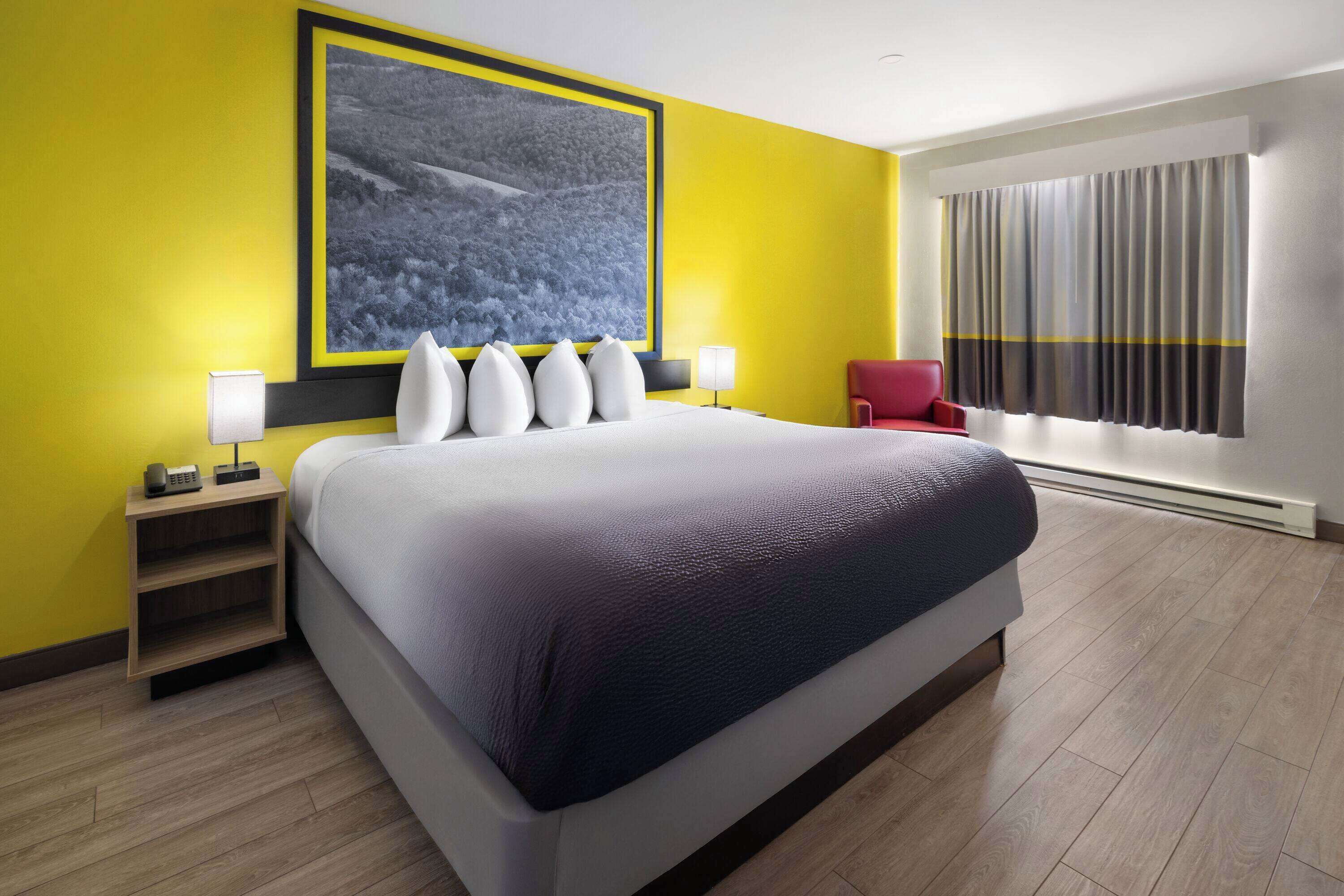 Kamer, 1 kingsize bed, roken | Een strijkplank/strijkijzer, gratis wifi, beddengoed