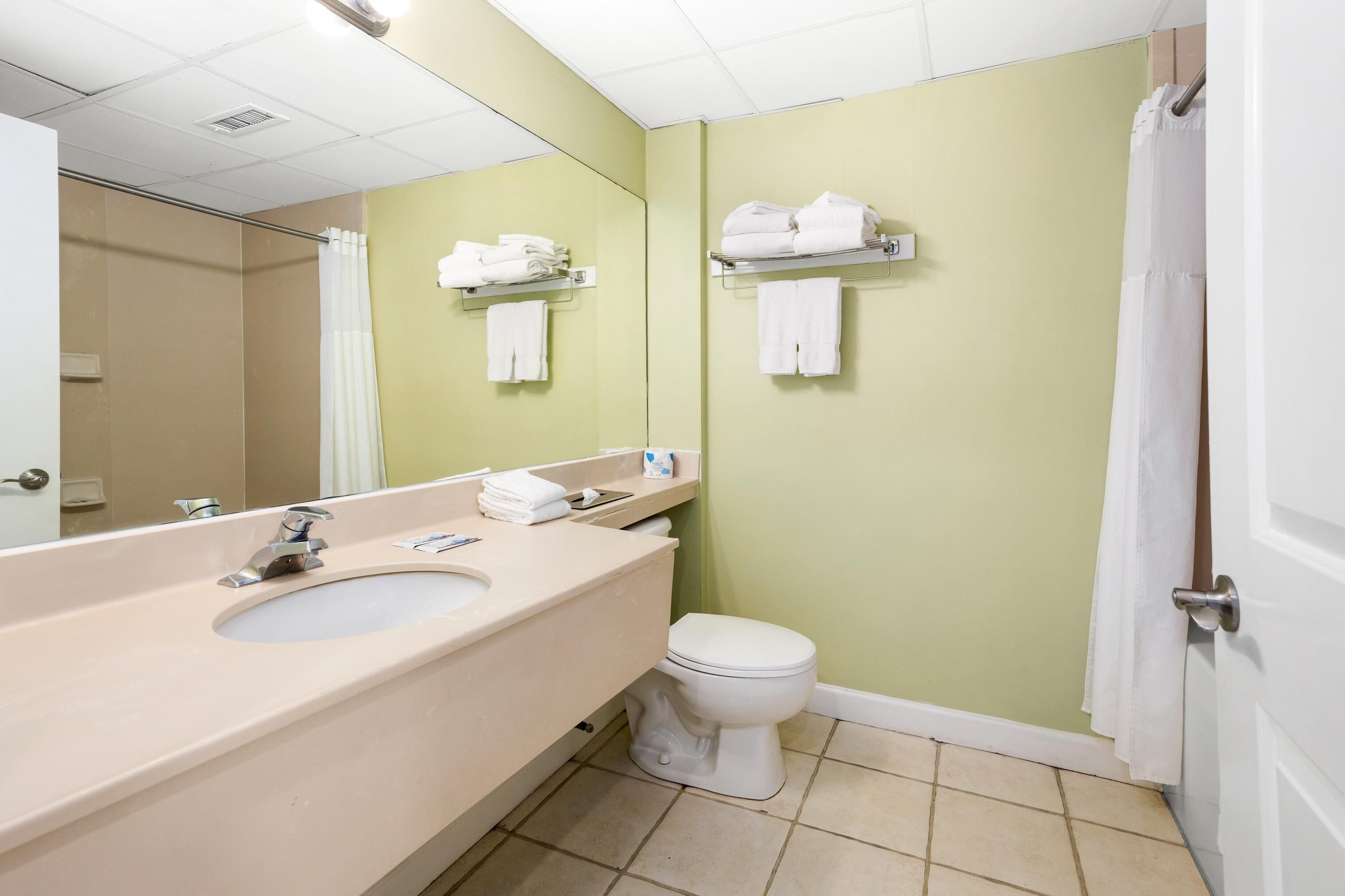 Een badkamer met een beige wastafel, een wit toilet en groene wanden. Er zijn twee handdoekrekken met opgevouwen handdoeken.