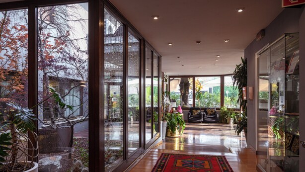 A spacious hallway with large windows, a red patterned rug, and various potted plants. - Due Ragni (Villorba)
