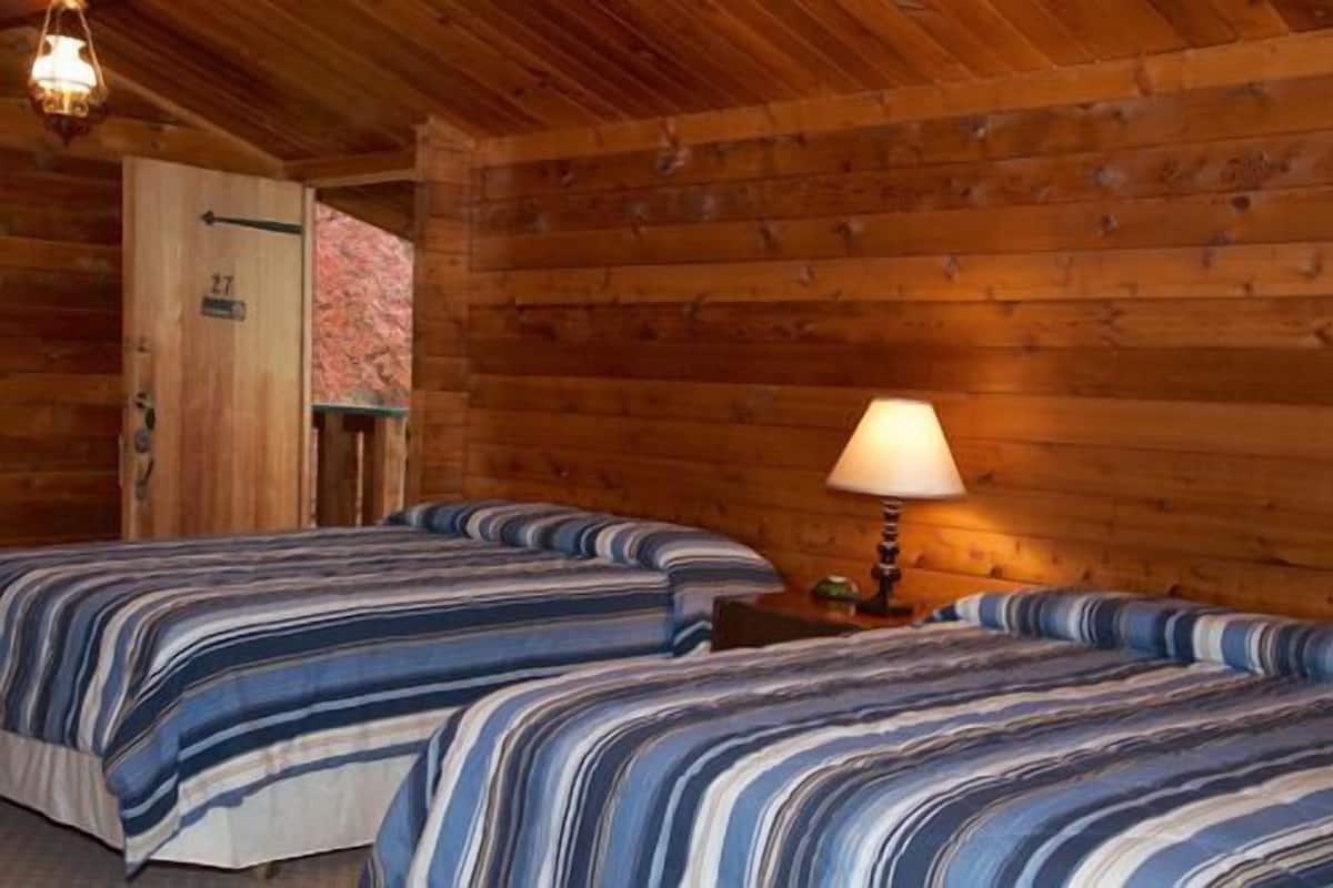 Una cabaña con dos camas, paredes de madera, una puerta y una lámpara.