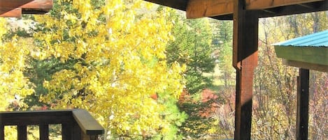 A wooden deck with a railing, overlooking a forest with autumn foliage.