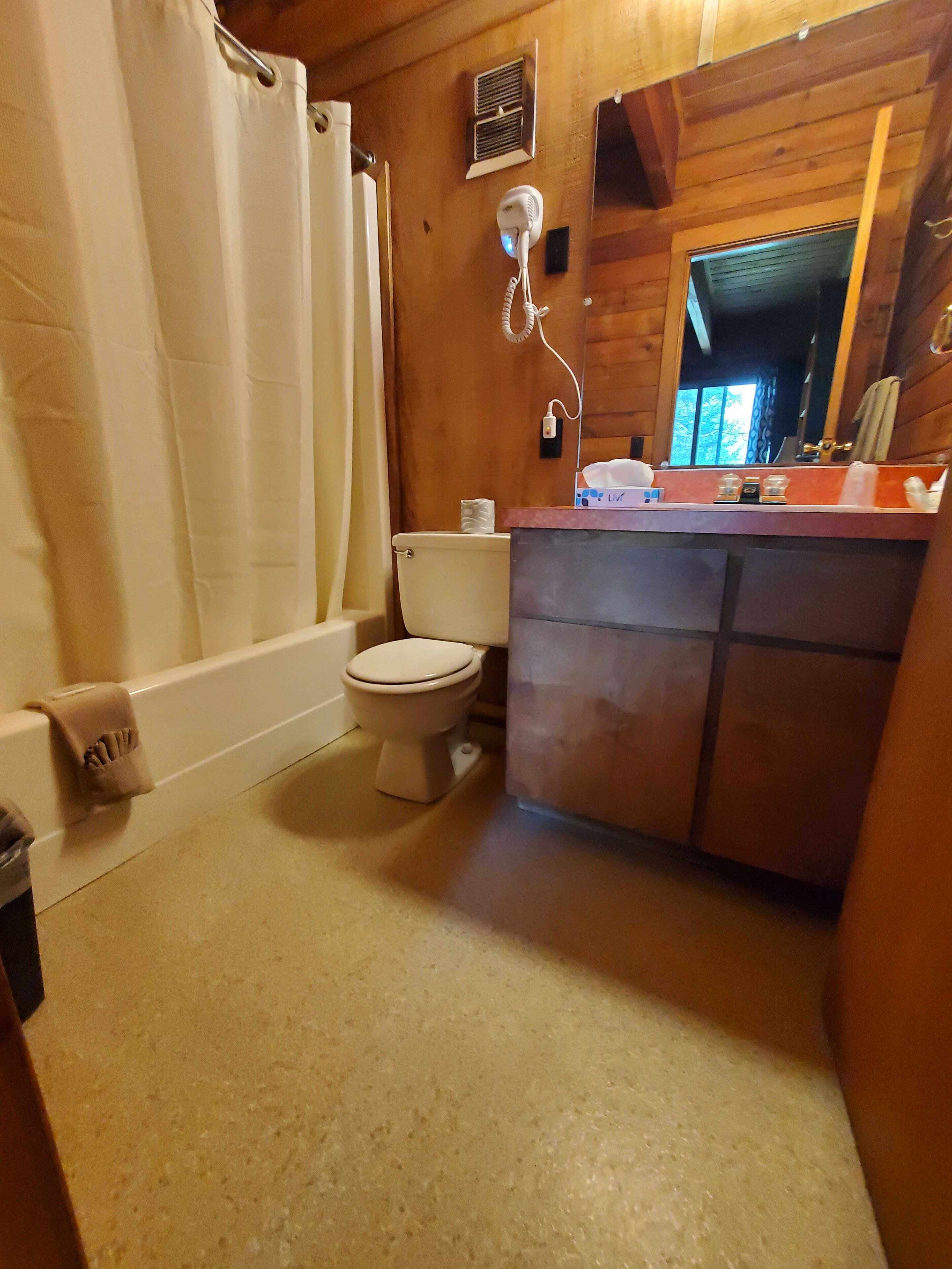 A bathroom with a toilet, a shower curtain, a hairdryer, and a vanity with a mirror.