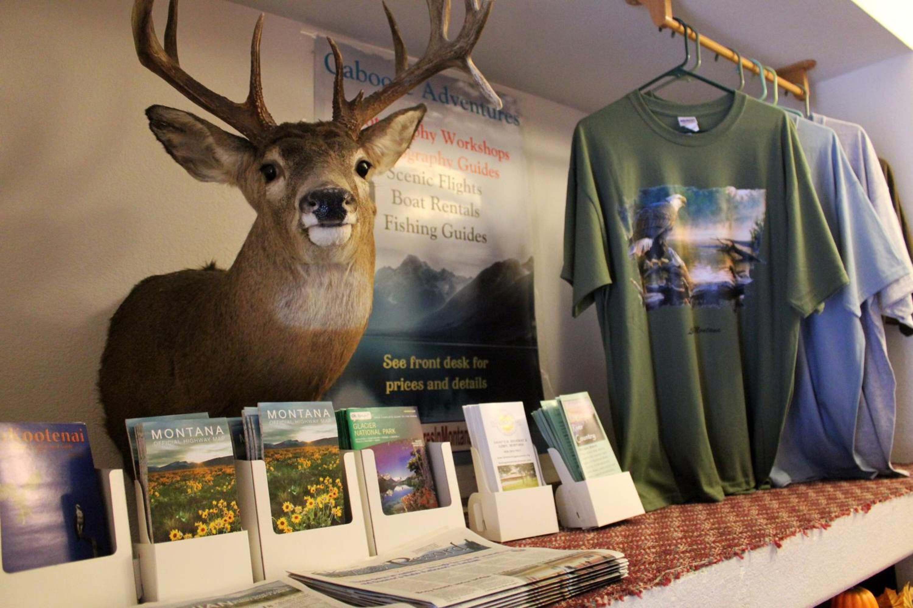 Un présentoir avec une tête de cerf montée, des brochures et un t-shirt.