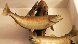 Deux poissons fixés sur une structure en bois.