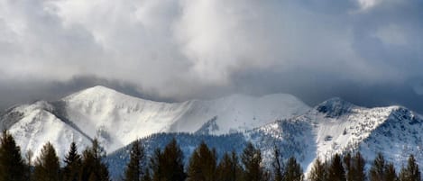 A snow-covered mountain range with a forested foreground.