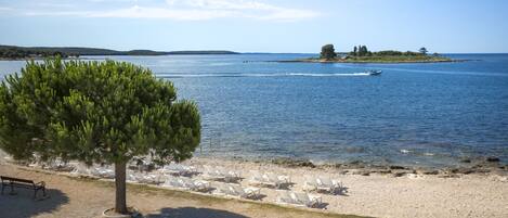A beach with a row of white lounge chairs and a single bench, a tree, and a clear view of the water.