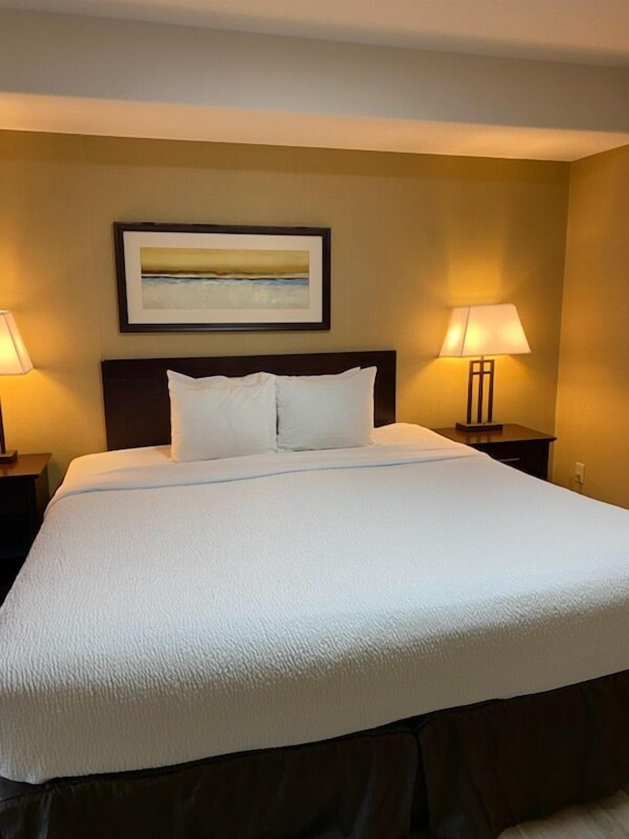 basic suite, 1 king bed | hypo-allergenic bedding, down duvets, desk, laptop workspace