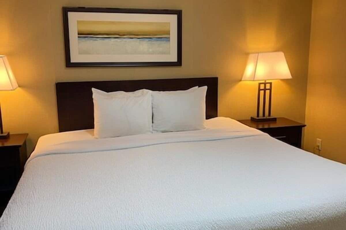 basic suite, 1 king bed | hypo-allergenic bedding, down duvets, desk, laptop workspace