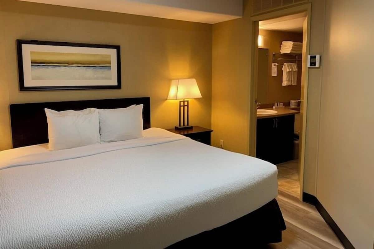 Basic Suite, 1 King Bed | Hypo-allergenic bedding available, down comforters, desk