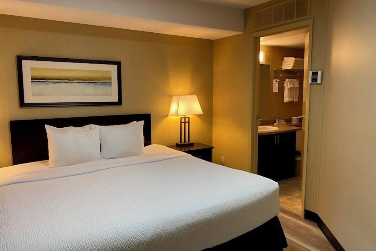 basic suite, 1 king bed | hypo-allergenic bedding, down duvets, desk, laptop workspace