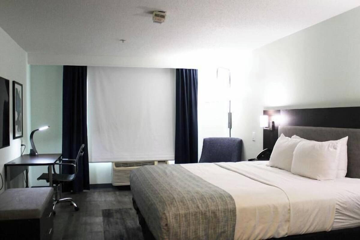 Hypo-allergenic bedding, in-room safe, desk, blackout drapes