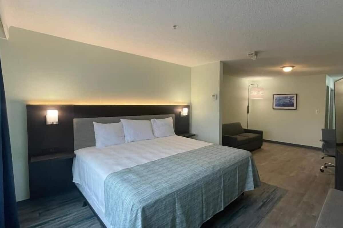 Hypo-allergenic bedding, in-room safe, desk, blackout curtains