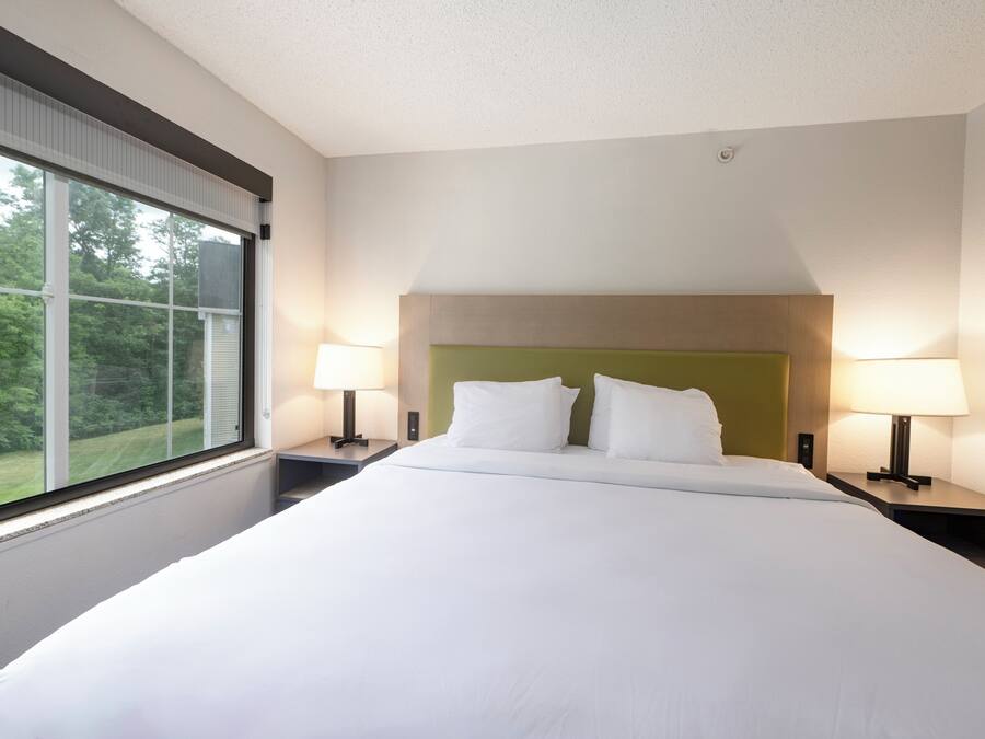 Habitación de hotel con una cama grande, dos mesitas de noche con lámparas, cabecera verde y ventana con vistas a vegetación.