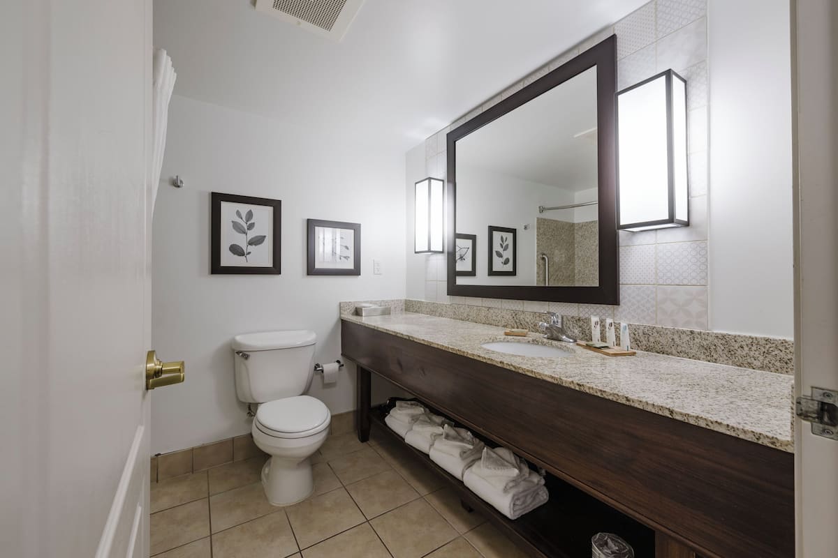 combined shower/bathtub, rainfall showerhead, free toiletries