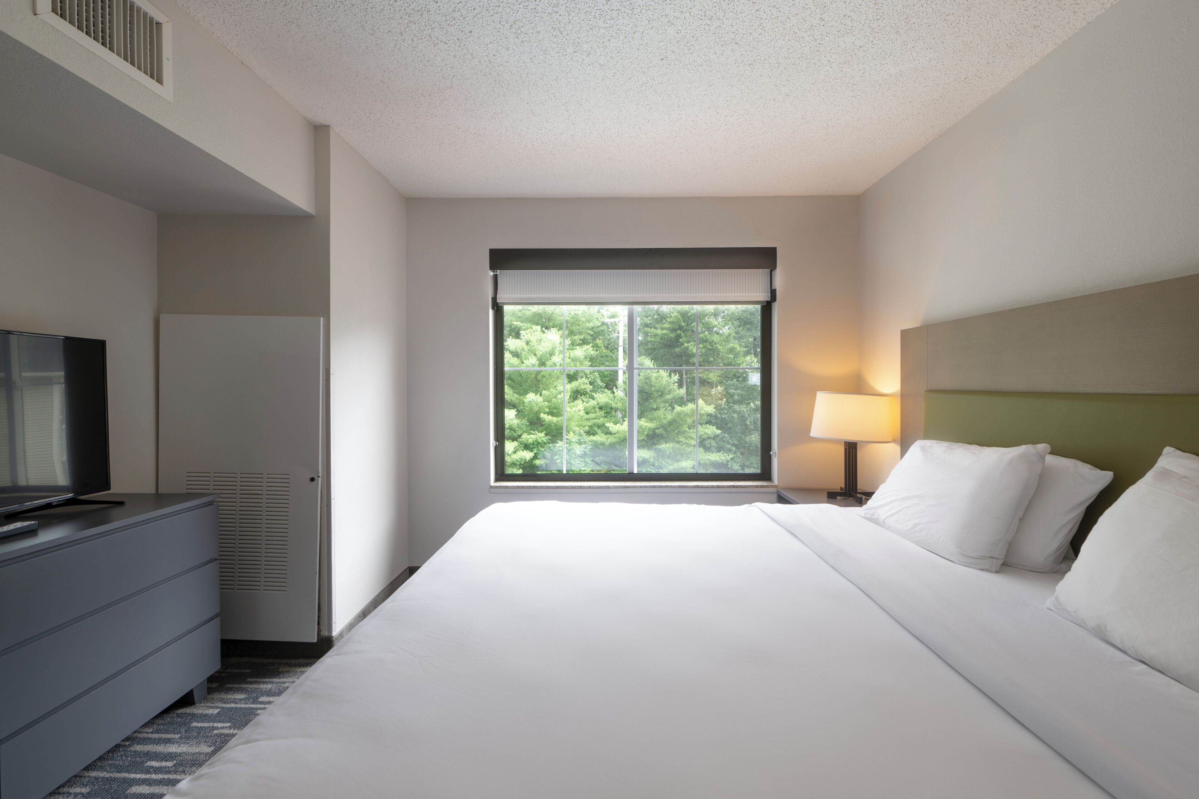 Une chambre d’hôtel avec un grand lit, une télévision, une commode, une fenêtre donnant sur la verdure et une lampe de chevet.