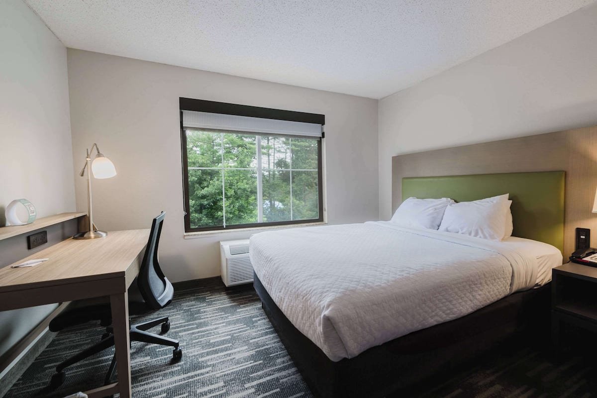 A hotel room with a bed, desk, chair, lamp, and a window with a view of trees.