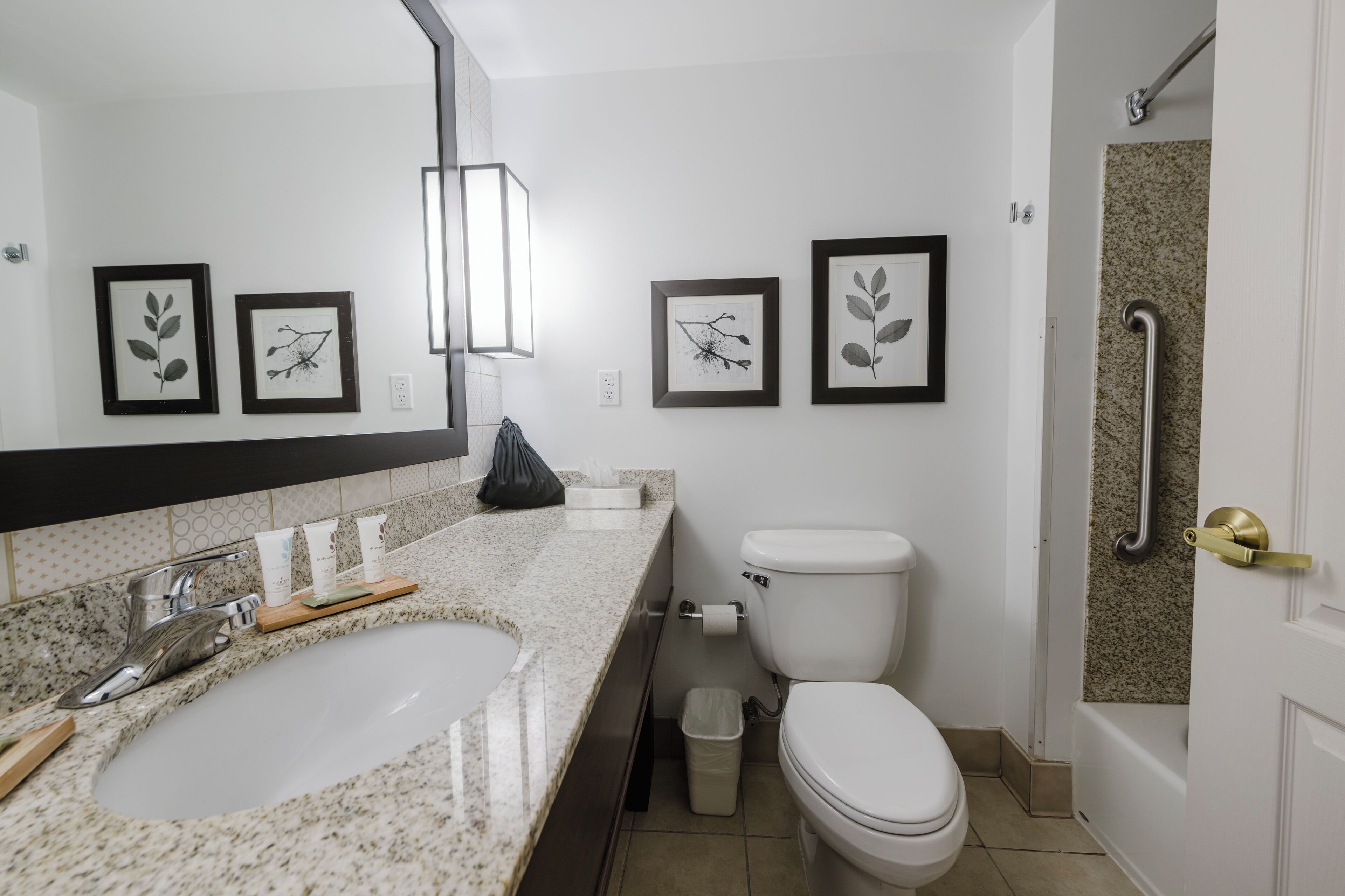 A modern bathroom with a granite countertop sink, a toilet, and framed botanical prints on the wall.