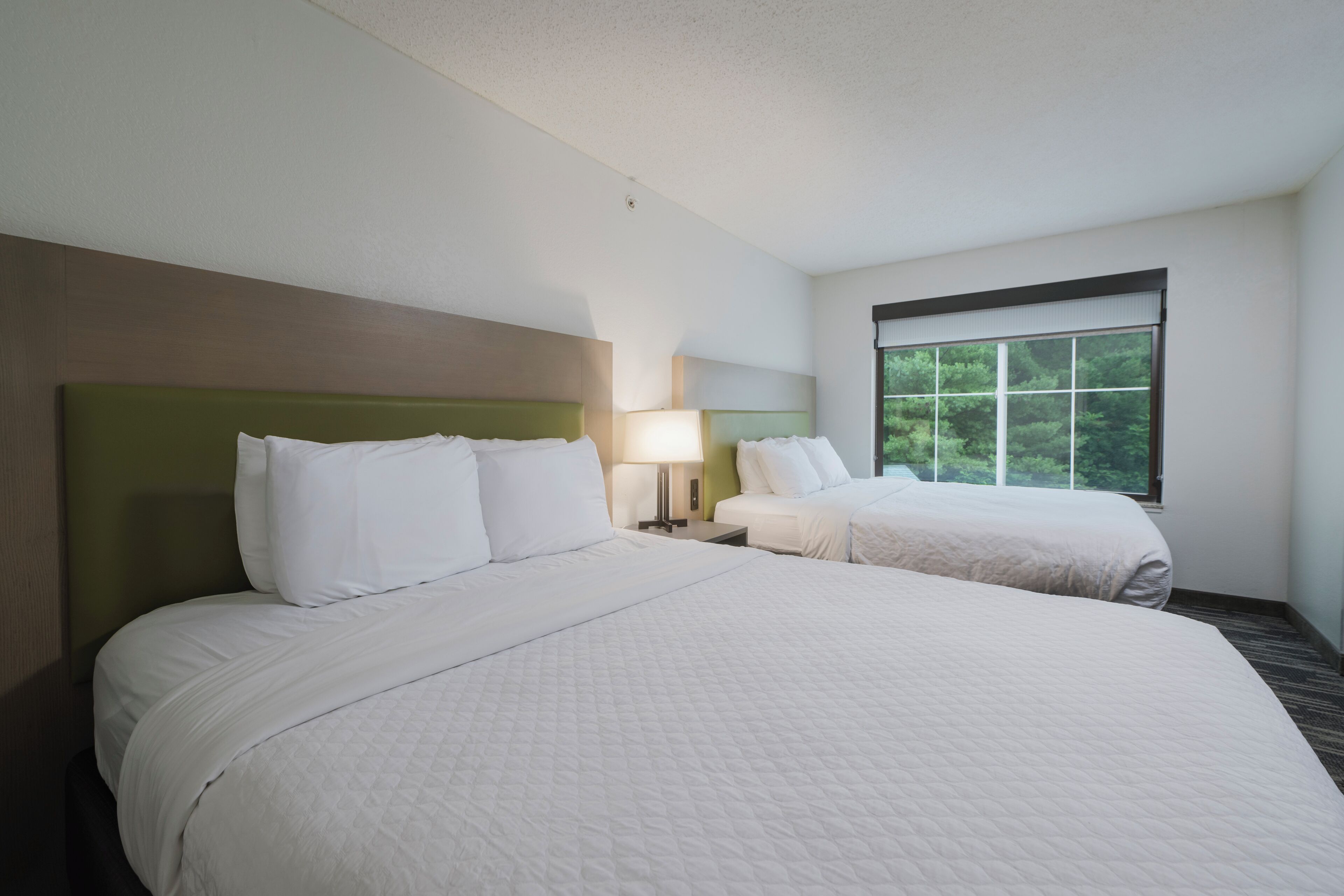 Habitación de hotel con dos camas, una ventana que da a zonas verdes y una mesita de noche con lámpara.
