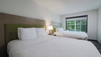Habitación de hotel con dos camas, una ventana que da a zonas verdes y una mesita de noche con lámpara.
