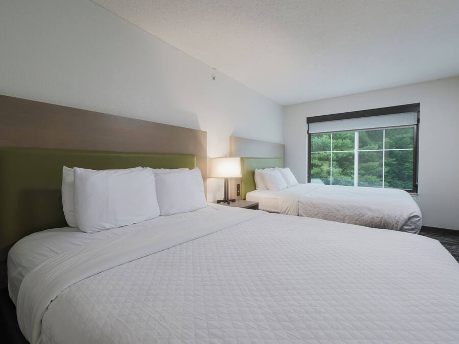 Habitación de hotel con dos camas, una ventana que da a zonas verdes y una mesita de noche con lámpara.