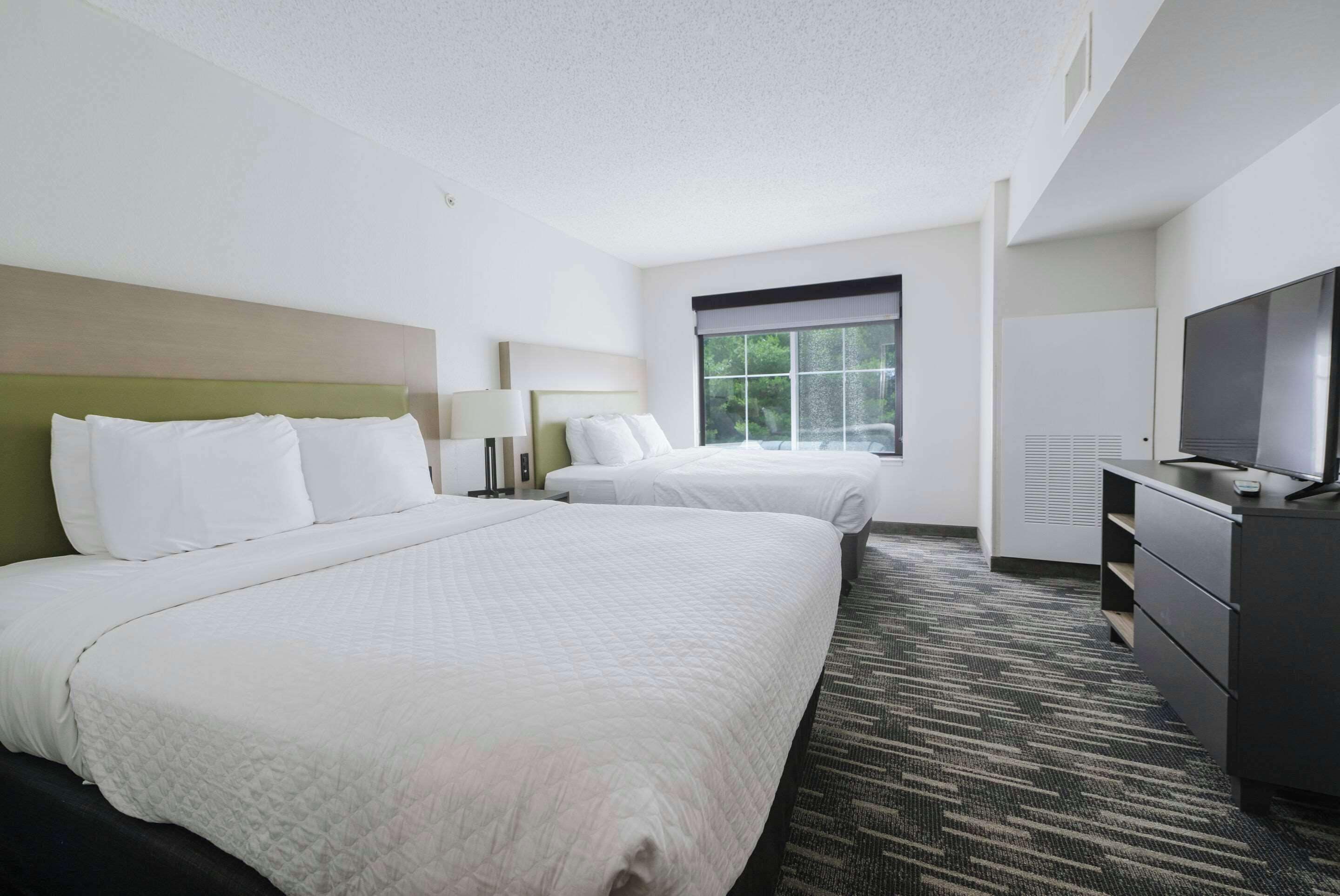 suite, 1 bedroom, non smoking | 1 bedroom, premium bedding, pillow-top beds, individually decorated