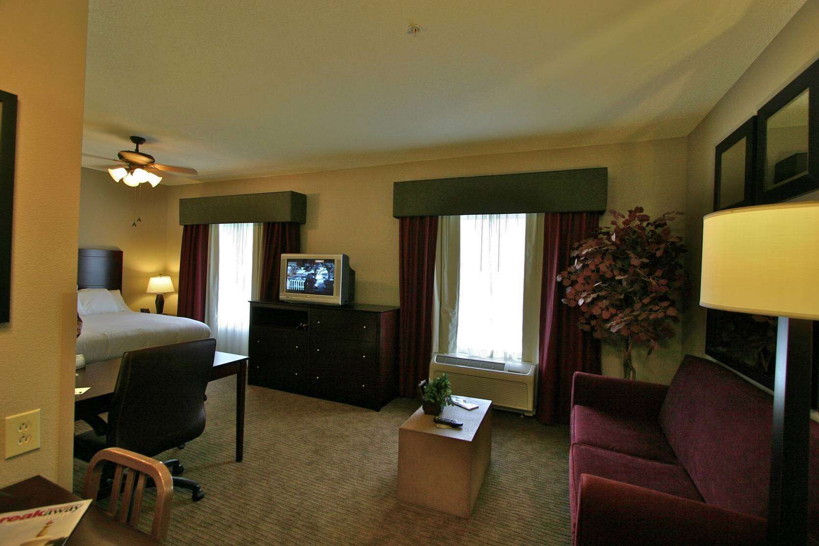 A hotel room with a bed, desk, chair, television, and a small table with a plant.