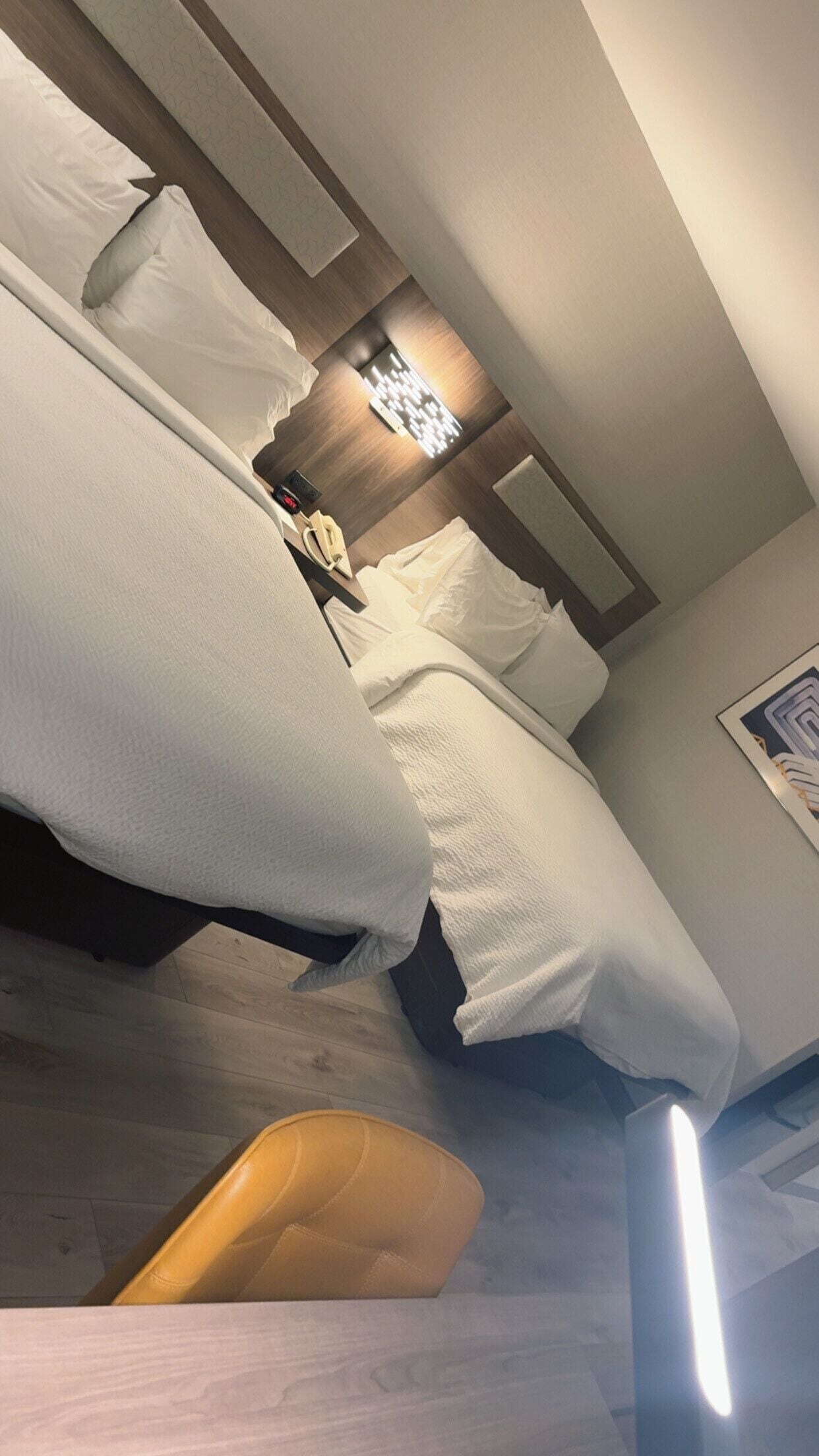 standard room, 2 queen beds | desk, laptop workspace, blackout curtains, iron/ironing board