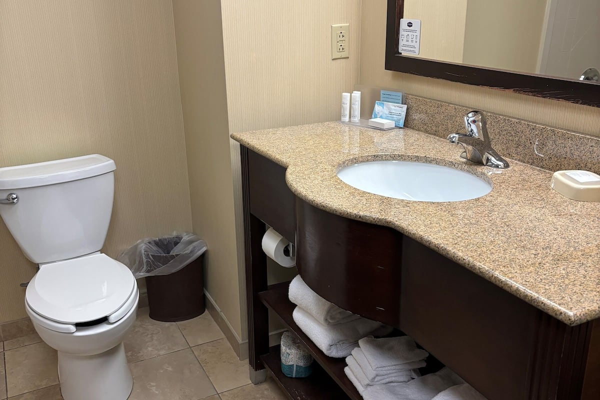 Combined shower/bathtub, free toiletries, hair dryer, towels