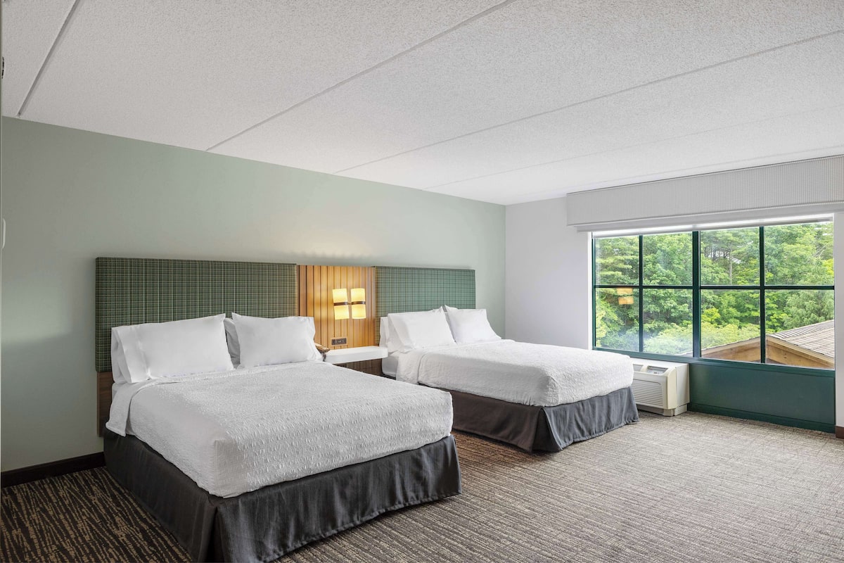 Quarto de hotel com duas camas, uma janela grande com vista para áreas verdes, cabeceira com luminária e piso coberto de carpete.