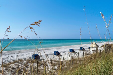Beach House Condominiums - Image 1