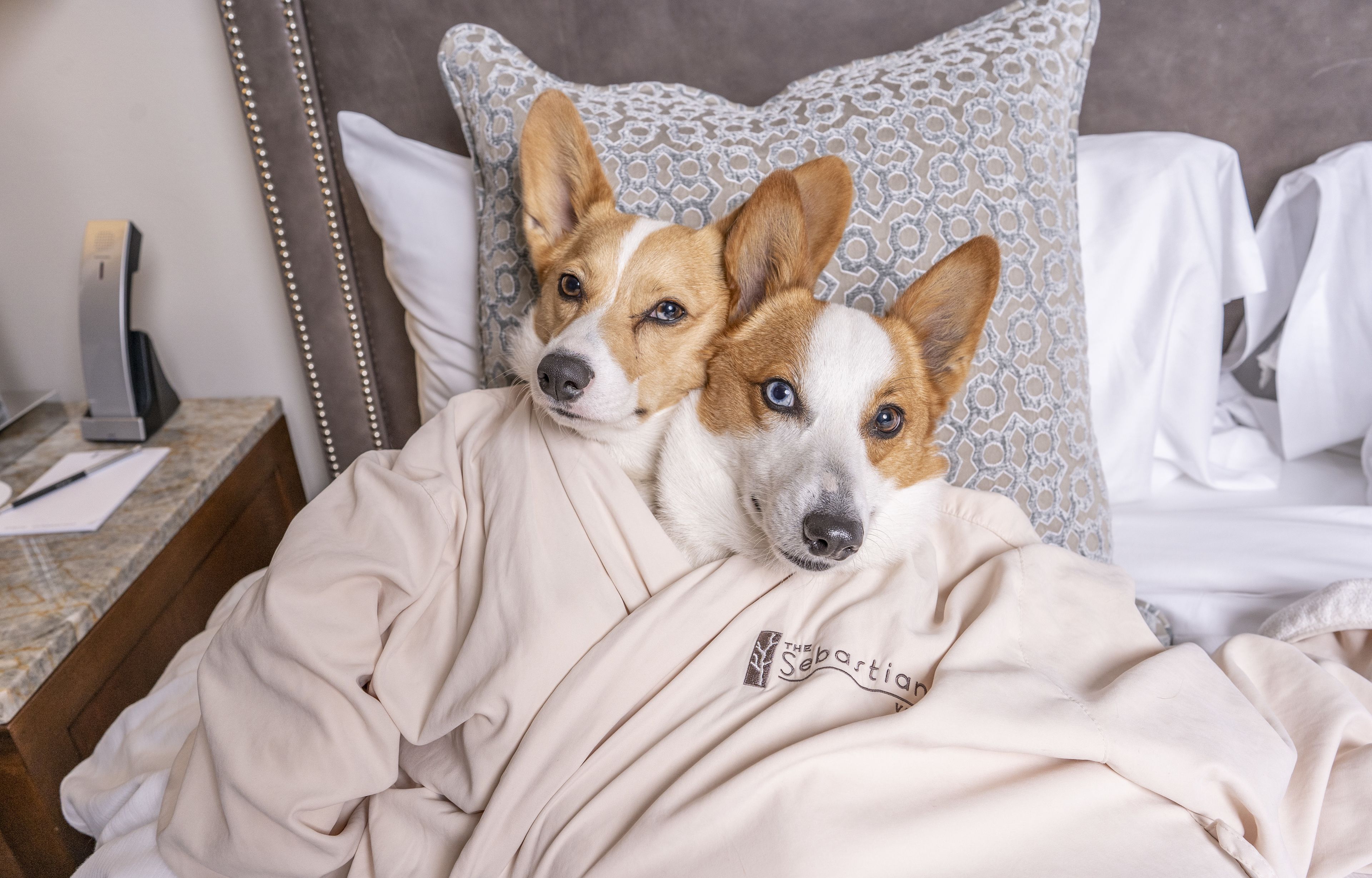 A bed with a patterned pillow, a bedside table with a phone, and a blanket.