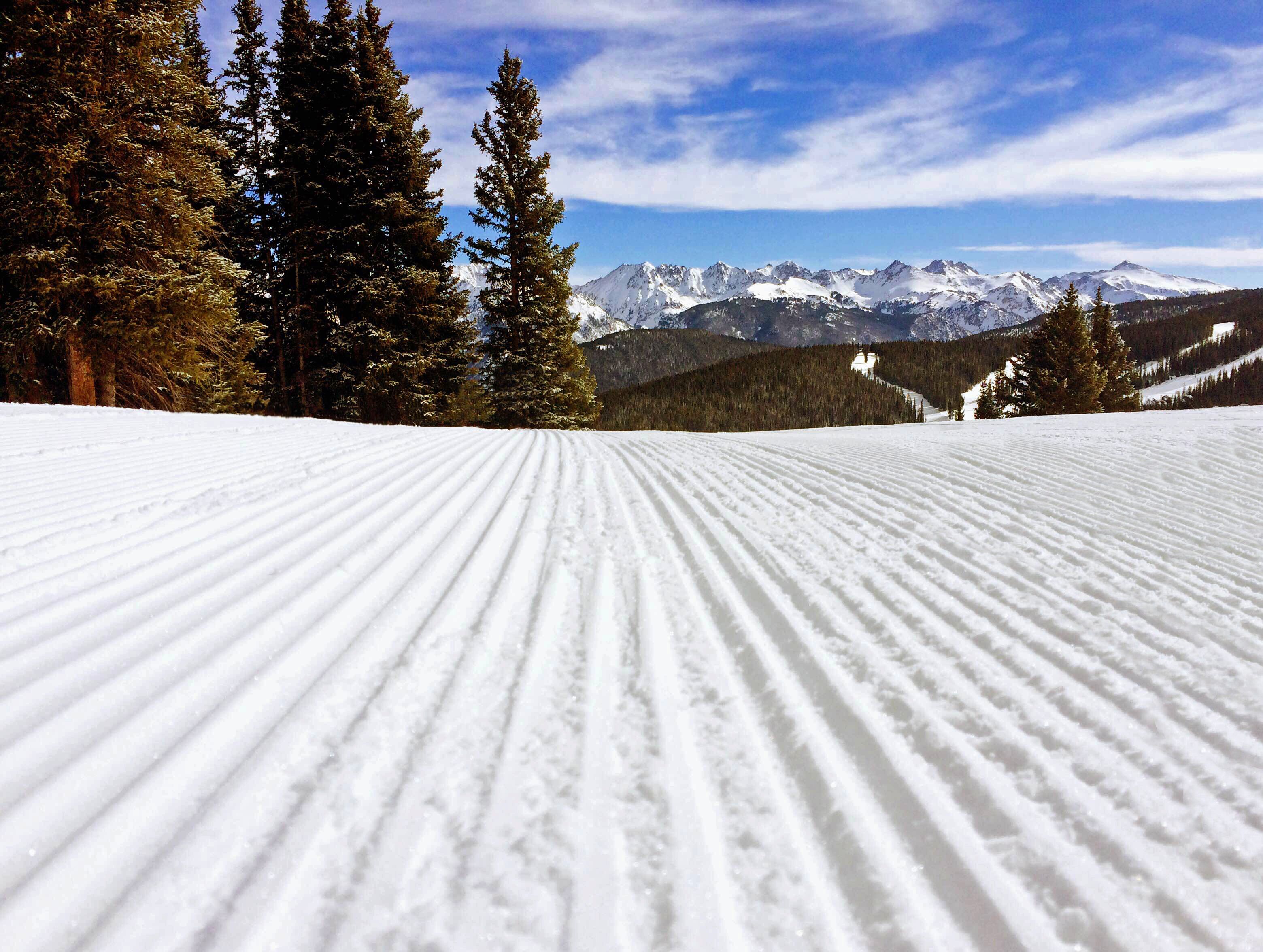 A snow-covered ski slope with a clear view of snow-capped mountains and pine trees in the background.