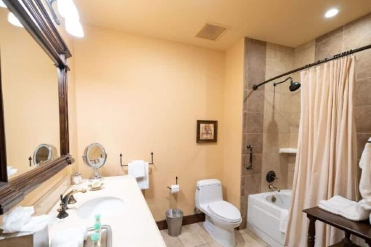Combined shower/bathtub, designer toiletries, hair dryer, bathrobes