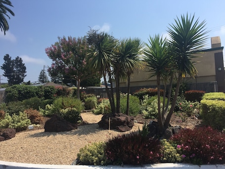 Garden. Hitching Post Studios Inn