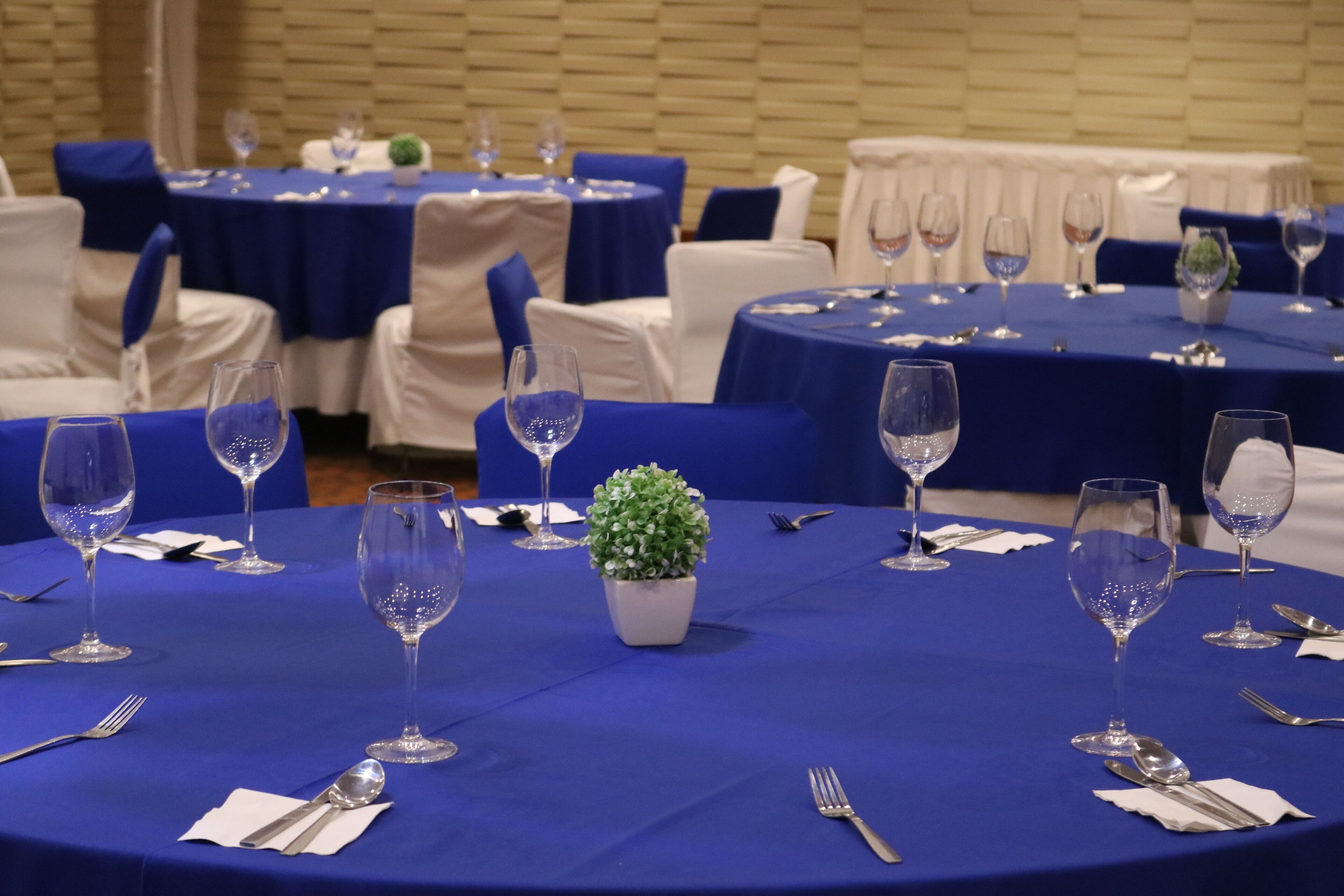 Une salle de banquet avec des tables rondes recouvertes de nappes bleues, chacune agrémentée de verres à vin, de couverts et d’une petite plante en pot.