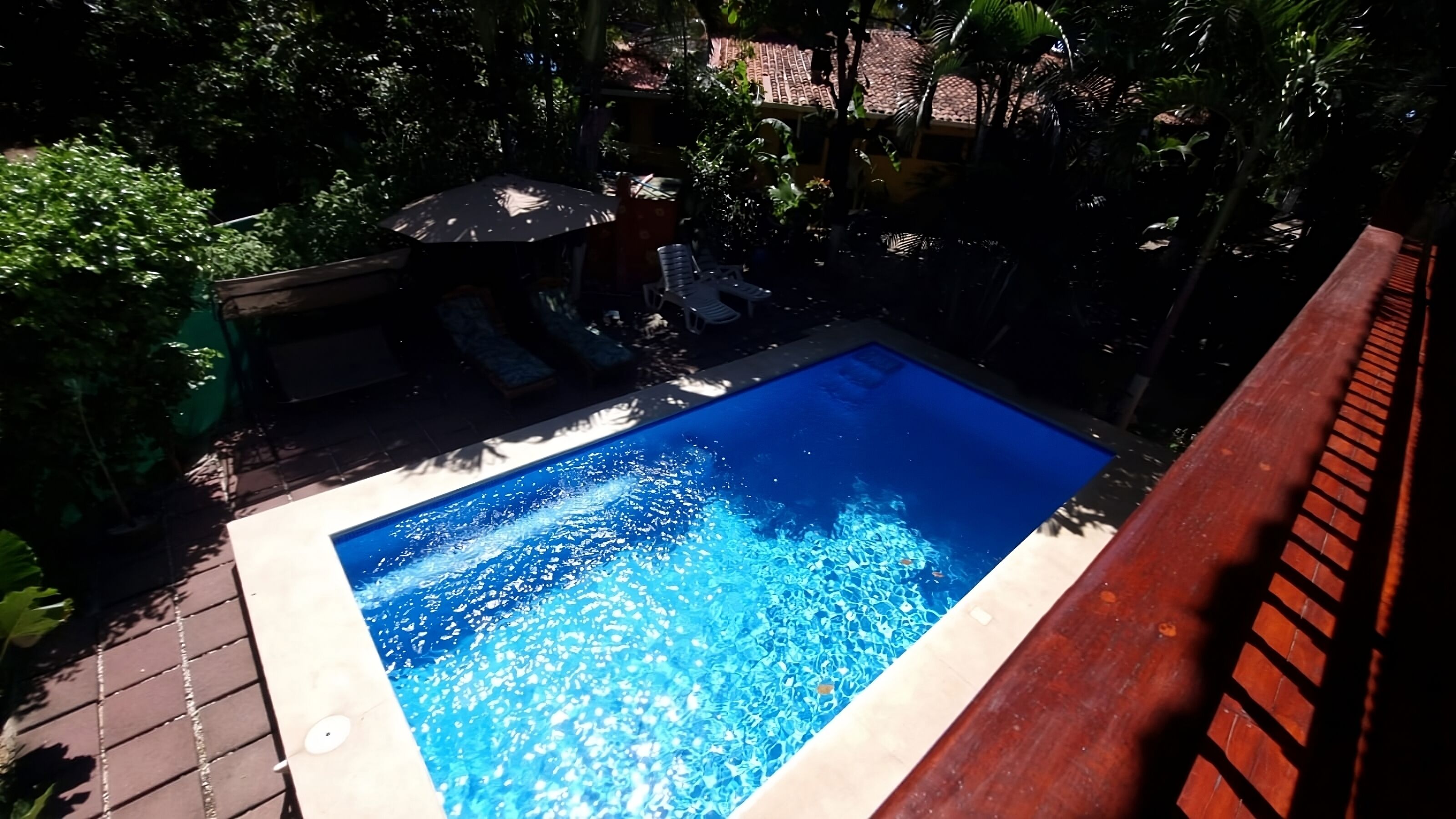 Une piscine rectangulaire à l’eau d’un bleu cristallin, entourée d’une terrasse en bois et d’une végétation luxuriante.