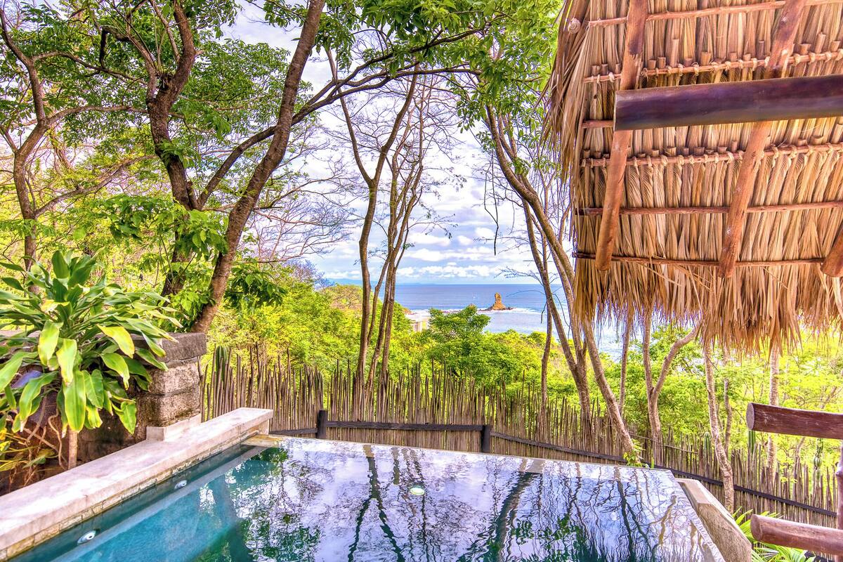 Una piscina rodeada de exuberante vegetación y vista al mar.