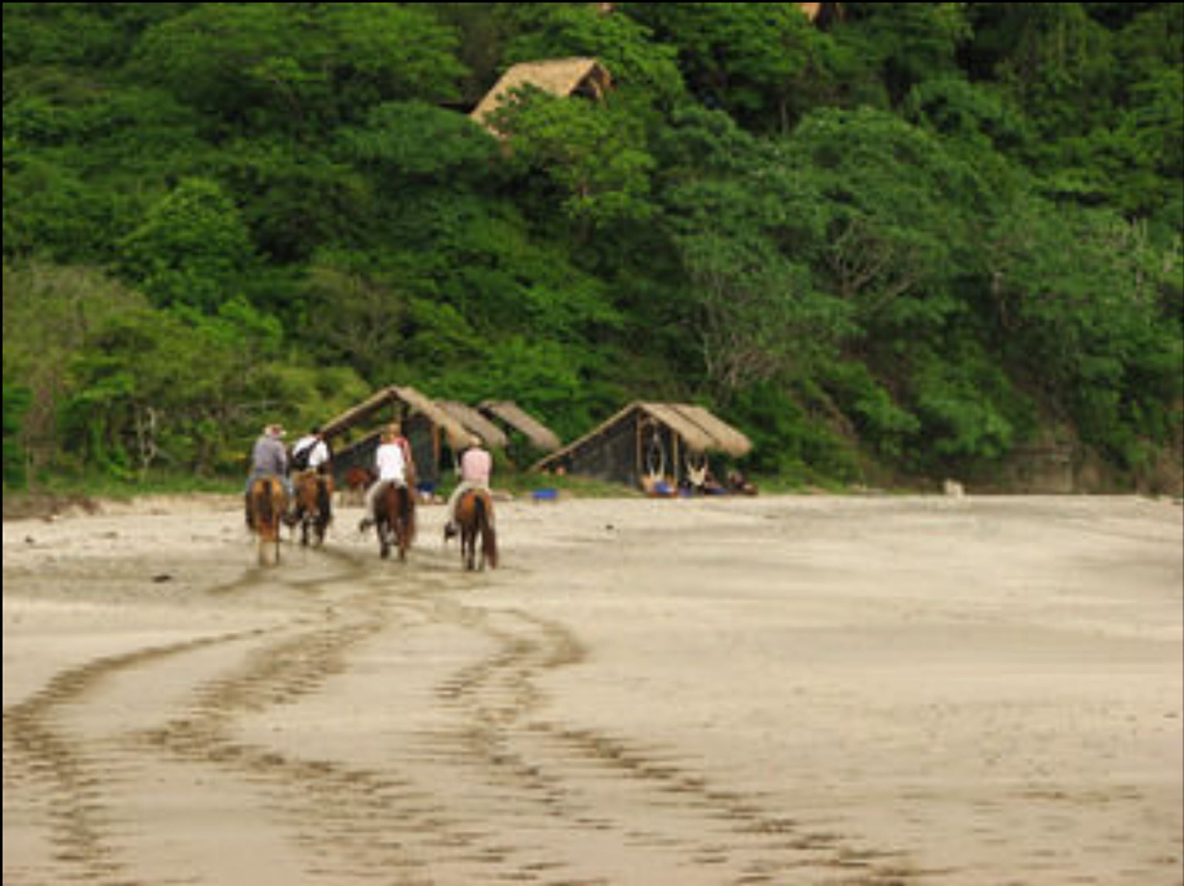 private beach, white sand, free beach cabanas, beach shuttle