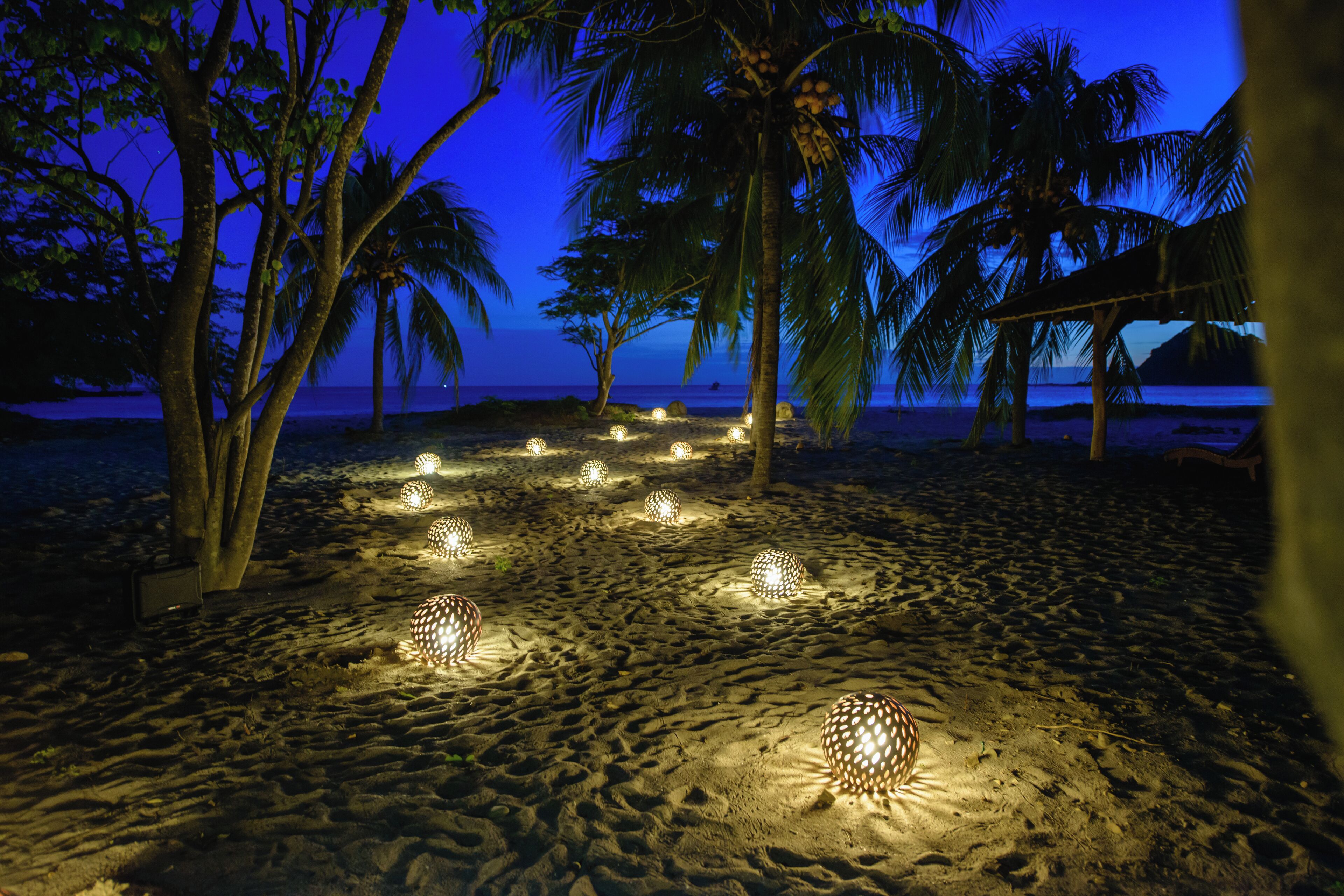 A beach at night with palm trees and decorative lights.