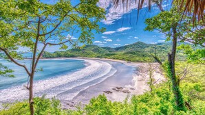 Un paysage côtier avec une plage, des arbres et un ciel dégagé.
