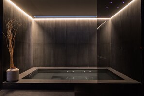Sauna, hot tub, steam room, body treatments, deep-tissue massages - Hotel Plaza Opera (Palermo)